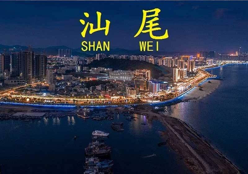 2026年汕尾瓷砖品牌选购推荐指南